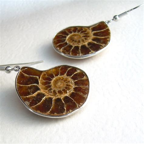 Ammonite Fossil Jewelry Nautilus Earrings Fossilized Brown - Etsy