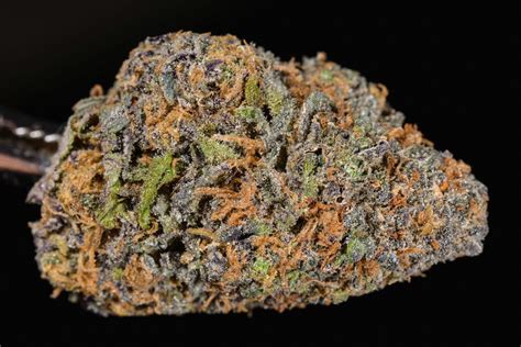 The top 10 Cannabis Strains of 2017 | AllBud