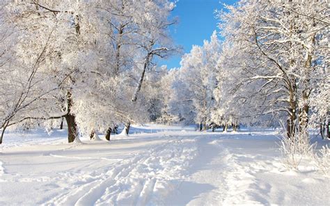 Winter Snow Background (50+ pictures) - WallpaperSet