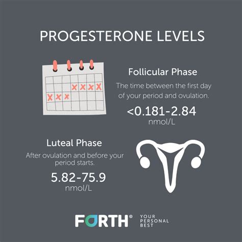 What Are The Normal Progesterone Levels In Women?