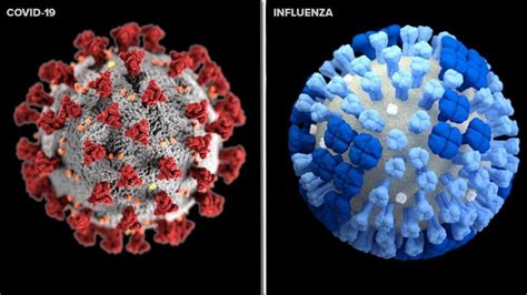 COVID vs. The Flu: Cool Springs Internal Medicine & Pediatrics, PLLC: Internal medicine ...