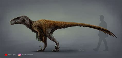 Utahraptor Feathers