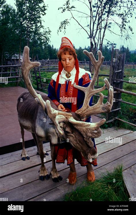 Sami woman with reindeer, Sami woman, reindeer, Konttaniemi Reindeer Stock Photo: 6756125 - Alamy