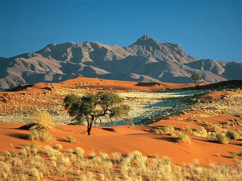 4 Desert Scenery, kalahari desert HD wallpaper | Pxfuel