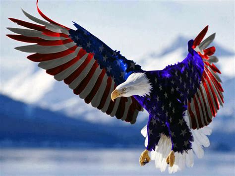 American Flag Eagle | Botcrawl