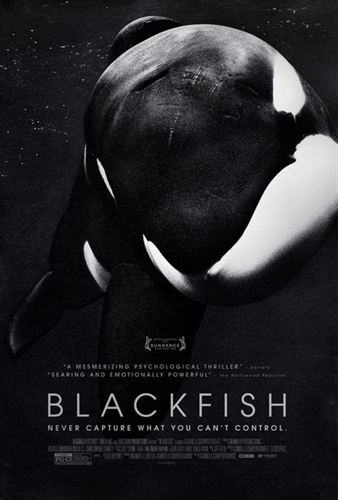 Blackfish (2013) Poster #1 - Trailer Addict