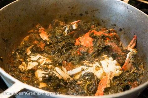 Lalo (Jute Leaves) with Beef, Spinach and Blue Crab Stew | NouBess