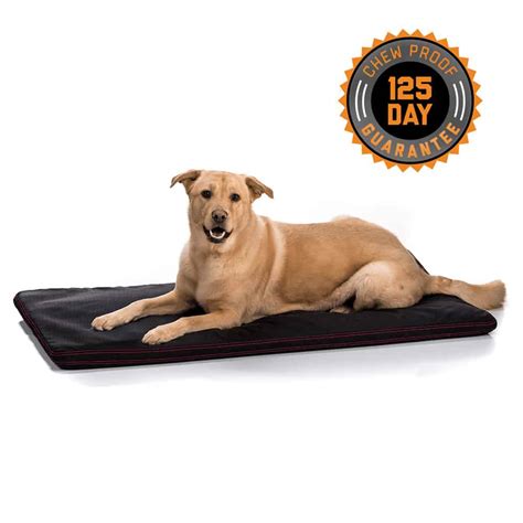 Durable, Chew-Proof Dog Beds | Chew-Proof Beds for Dogs