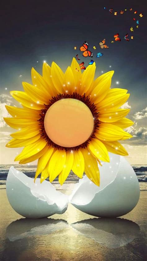 Pin by Kenny Velis on Sunflower in 2023 | Sunflower art, Sunflower wallpaper, Sunflower pictures