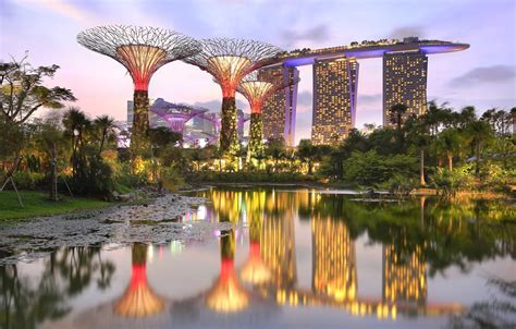 Wallpaper pond, Park, Singapore, the hotel, Singapore, Marina Bay Sands ...