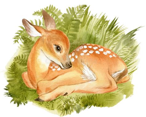 Watercolor Baby Deer on Green Grass. Stock Illustration - Illustration ...