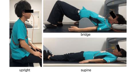 The body positions illustrated: upright; supine; bridge | Download Scientific Diagram