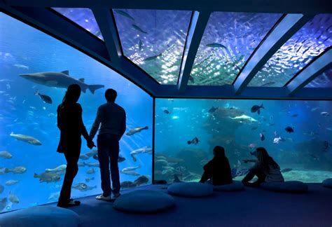 Palma Aquarium (Palma) - Visitor Information & Reviews