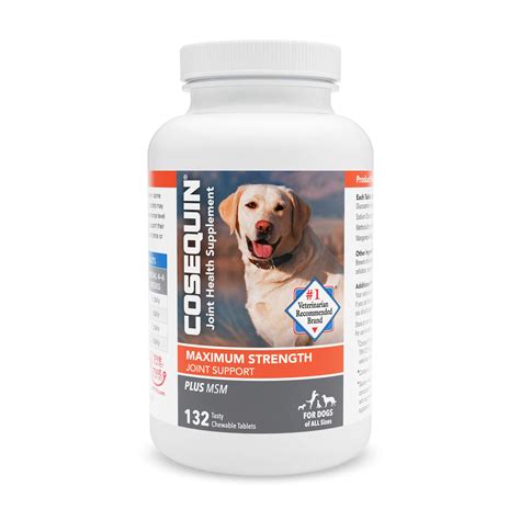 Do Joint Supplements Help Dogs