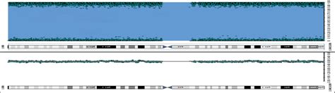 SNP array. SNP probes profile showed a long contiguous stretch of... | Download Scientific Diagram