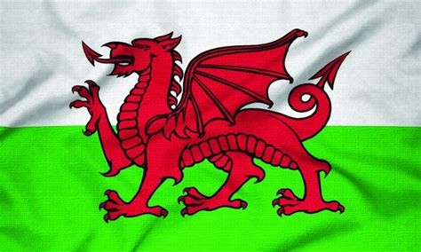 Nauticalia Courtesy Flag - Welsh Dragon (5835)