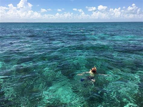 Key Biscayne National Park Snorkeling - absolutenessnews