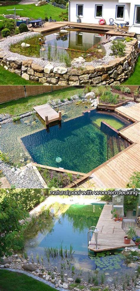 Natural Swimming Pool Ideas [How to, Tips and Pictures]