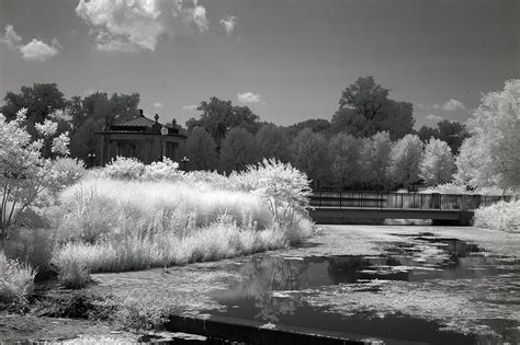 LifePixel Digital Camera Infrared IR Conversion. Sample infrared photographs - 10