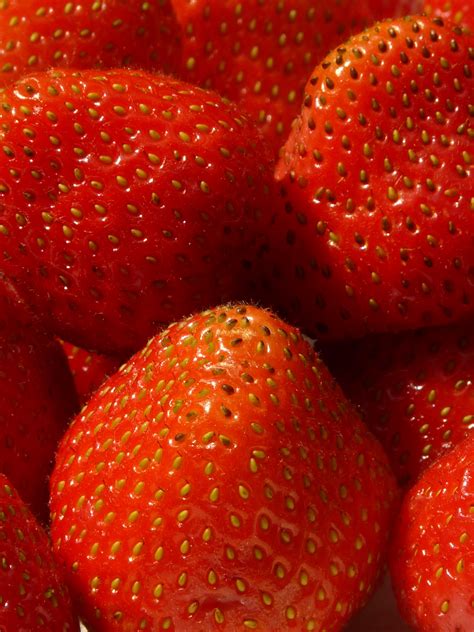 480x800 wallpaper | strawberries | Peakpx