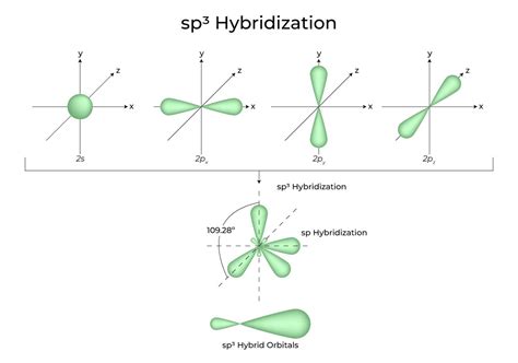 Hybridization - Definition, Types, Rules, Examples - GeeksforGeeks