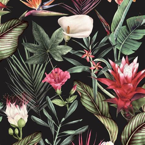 Debona Flora Tropical Jungle Leaf Floral Wallpaper Black 5070