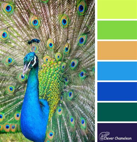 Peacock Parade: Colour & Inspiration Tuesday and Linky Party | Clever Chameleon Quilting | Color ...