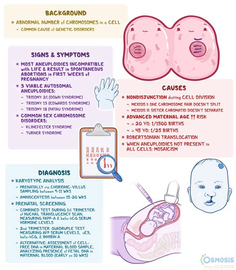 What Causes Aneuploidy In Embryos - Reproduction Online