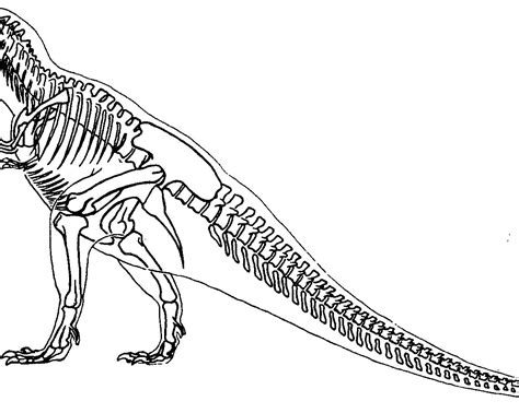 Printable Dinosaur Skeletons