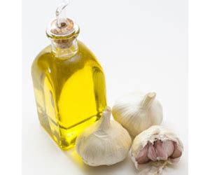 Top health benefits of Garlic essential oil | HB times