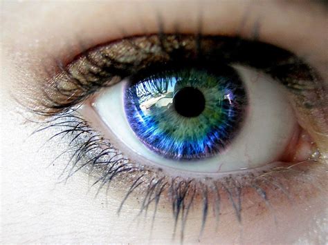 This Is How Human Eyes Get Their Color, and It’s Simply Amazing! | The Mind Unleashed