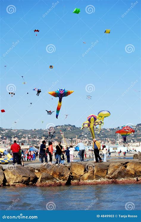 Festival of the Kites editorial stock photo. Image of aerodynamic - 4849903