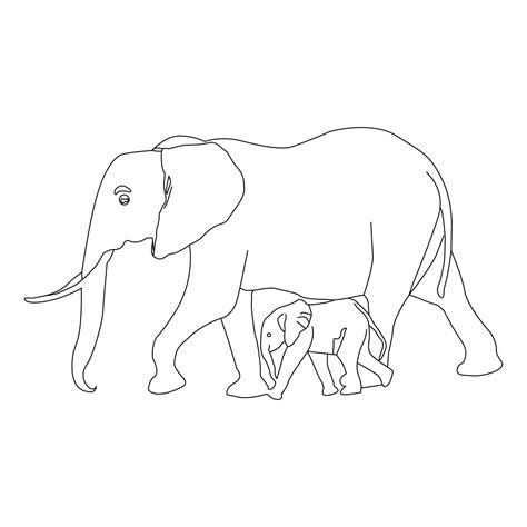 Elephant Line art vector 23675397 Vector Art at Vecteezy