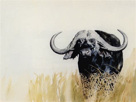 Art Print of a Buffalo Bull - "Buffalo Bull" - Sue Dickinson Artist