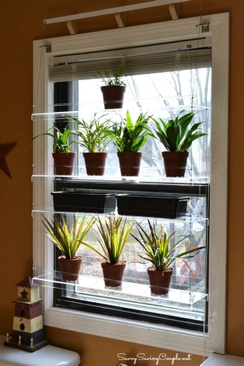 Beautiful Views Window Shelves for Apartment Gardening