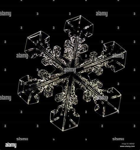 Snowflake magnified under microscope, Lilehammer, Norway Stock Photo - Alamy