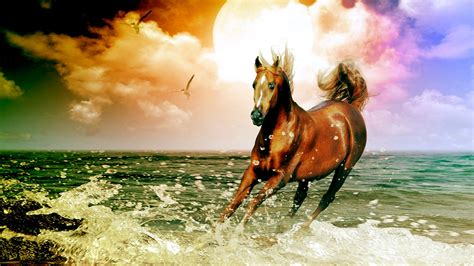 🔥 [90+] Horses on Beach Wallpapers | WallpaperSafari