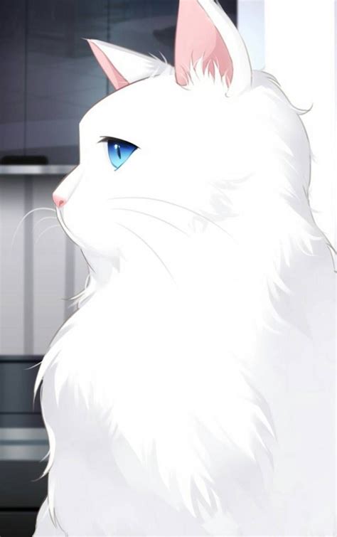 White Cat Anime Wallpapers - Top Free White Cat Anime Backgrounds - WallpaperAccess