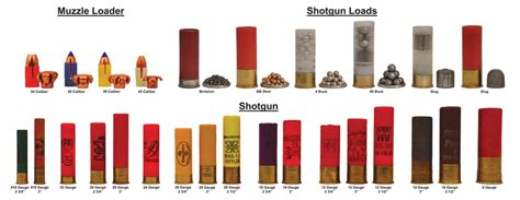 12 Gauge Shotgun Shells Types Chart