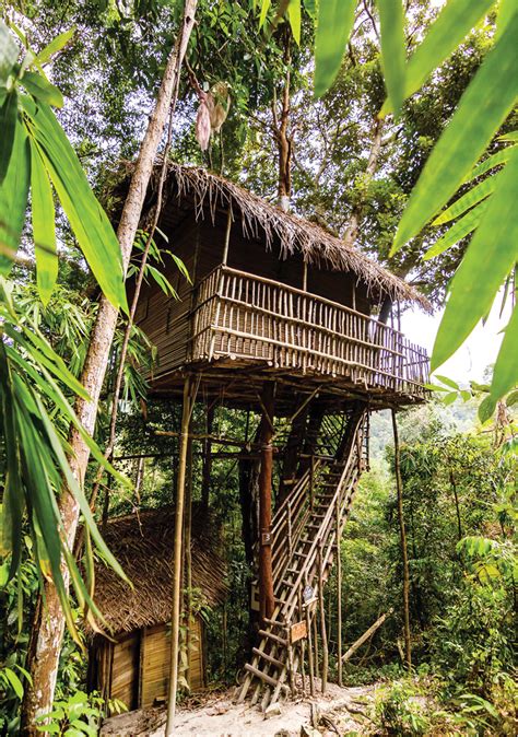 Important Inspiration 21+ Rainforest House