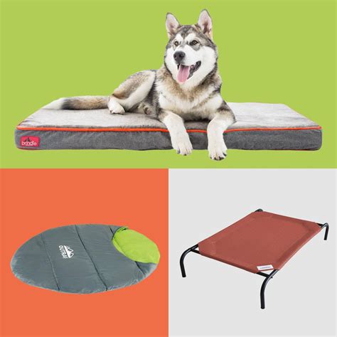 8 Best Waterproof Dog Beds | The Family Handyman