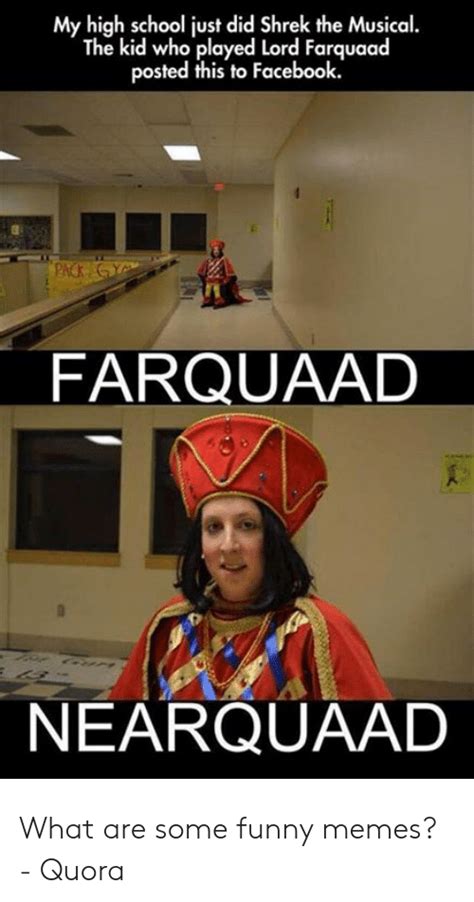 The Best 19 Lord Farquaad E Meme Origin - ullernewall