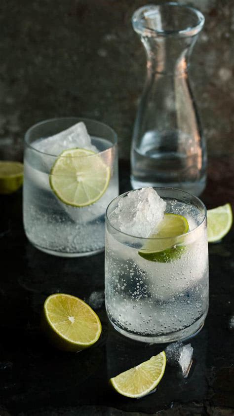 24 Gin and Tonic Recipes that Transform the Classic - An Unblurred Lady