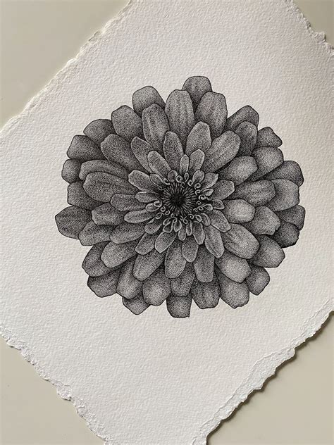 Flower: Original Pen and and Ink Drawing // Pen Drawing - Etsy