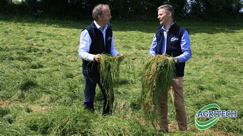 Key considerations for silage harvesting - Agritech