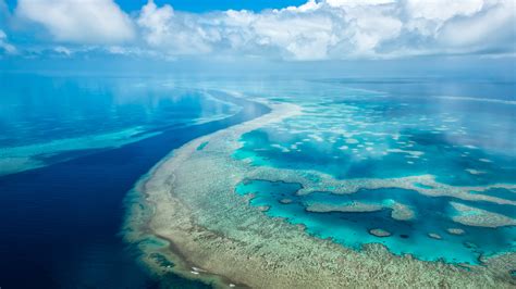 Great Barrier Reef Australia UHD 4K Wallpaper | Pixelz