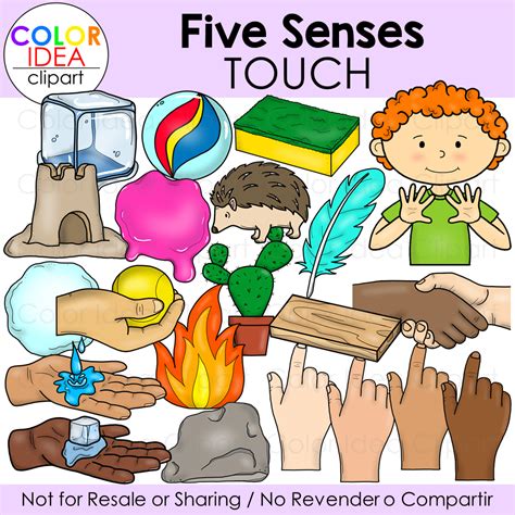 Five Senses - Touch - Made By Teachers