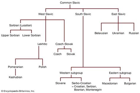 Slovincian language | Britannica