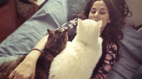 Cuddling your cat can kill you pet owners warned - Mirror Online