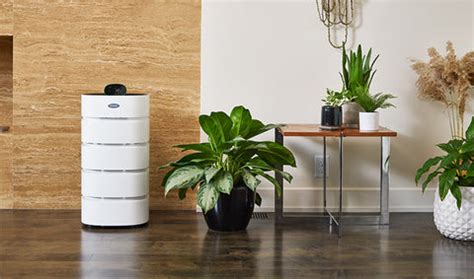 Air Purifier Types | Which Type of Air Purifier Is Right For You? — Carrier @ Home